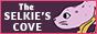 the-selkies-cove.jpg