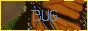 butterflyblinkielowreshover.gif