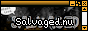 salvaged.png