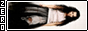 fl571.gif