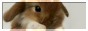 bunny-button2.png