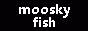 moosky.gif