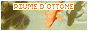 archived 88x31 button #59538
