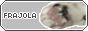frajola.gif