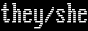 pronoun-vga-they-she.png