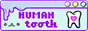 humantooth.png