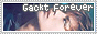 archived 88x31 button #59729