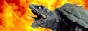 es.geocities.com_punkahoy_links_gamerachan_lnk.gif