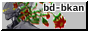 bd-bk-bt1.png