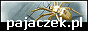 pajaczekpl_88x31.png