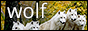 archived 88x31 button #59973