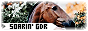 archived 88x31 button #60287