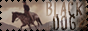 archived 88x31 button #60290