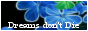 archived 88x31 button #60374