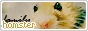 archived 88x31 button #60395
