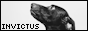 archived 88x31 button #60453