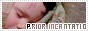 archived 88x31 button #60457