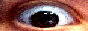 yeek_button.png