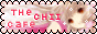 chiicafe.gif