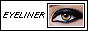 ey.png