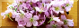 TL_flowers1_button.png