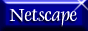 netscape_2.gif