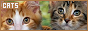 archived 88x31 button #60901