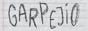 garpejio.gif