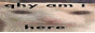 thebiggestwebsite.gif