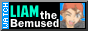 liam.gif