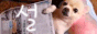 FHIpQDK.gif