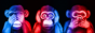 monkeygang.png