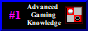 advancedGamingKnowledge.png