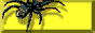spider.png