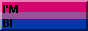 lgbtq-bi.png