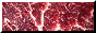 f5so02.gif