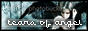 archived 88x31 button #61447