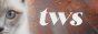 archived 88x31 button #61451