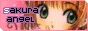link_grande.gif