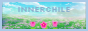 innerchile.png