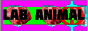 88x31.gif