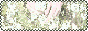 swp-button1.gif