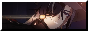 Boothill%20Bullet%20Button.png