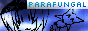 parafungal_3.gif