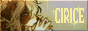 ciricebutton3.gif