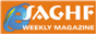 vsmlogo4.gif