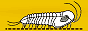 trilobites.png