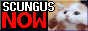 scungus-now.gif