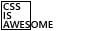 cssisawesome.jpg