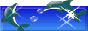 dolphins.gif